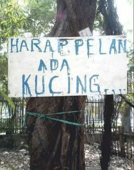 Potret kocak imbauan pelan-pelan di gang Berbagai sumber