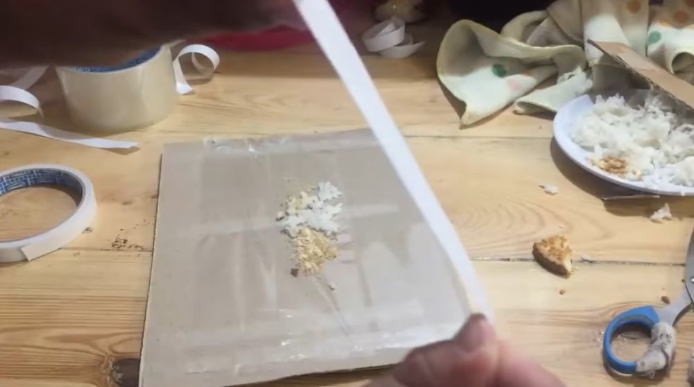 Cuma pakai 2 bahan dapur, ini cara ampuh bikin perangkap cicak meski tanpa kopi dan gula