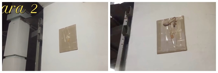 Cuma pakai 2 bahan dapur, ini cara ampuh bikin perangkap cicak meski tanpa kopi dan gula