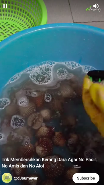 Trik membersihkan kerang dara agar bebas dari pasir dan antiamis cuma pakai 1 bahan dapur