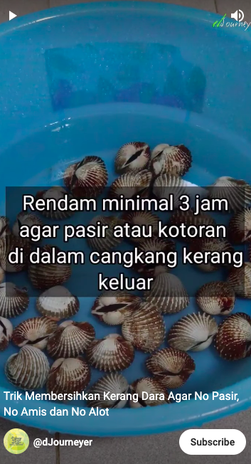 Trik membersihkan kerang dara agar bebas dari pasir dan antiamis cuma pakai 1 bahan dapur