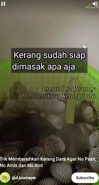 Trik membersihkan kerang dara agar bebas dari pasir dan antiamis cuma pakai 1 bahan dapur