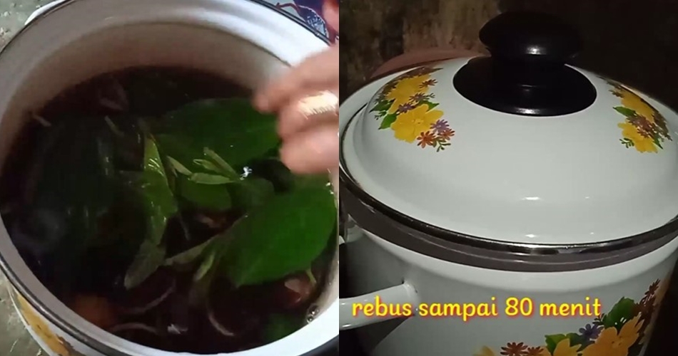 Tanpa kopi atau baking soda, ini cara merebus jengkol biar tak bikin bau mulut pakai 1 jenis daun