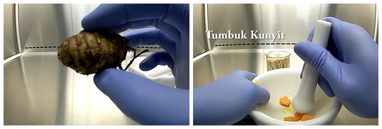 Bermodal 1 rempah dapur, begini cara sederhana mendeteksi kandungan boraks pada bakso