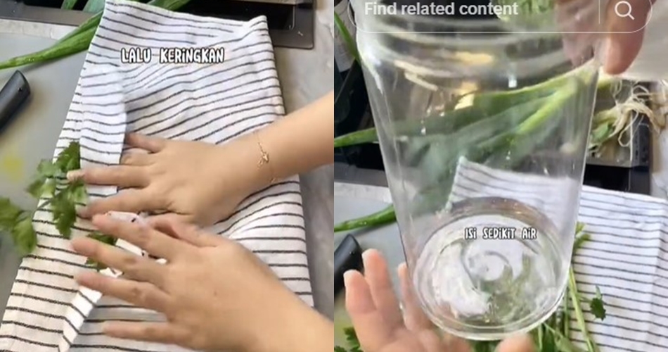 Trik simpan daun seledri agar tetap hijau segar dan tak berubah rasa hingga 7 hari