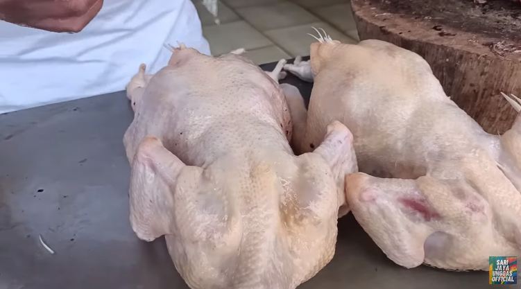 Cara mudah membedakan ayam potong segar dengan yang tak layak konsumsi, waspada daging tiren