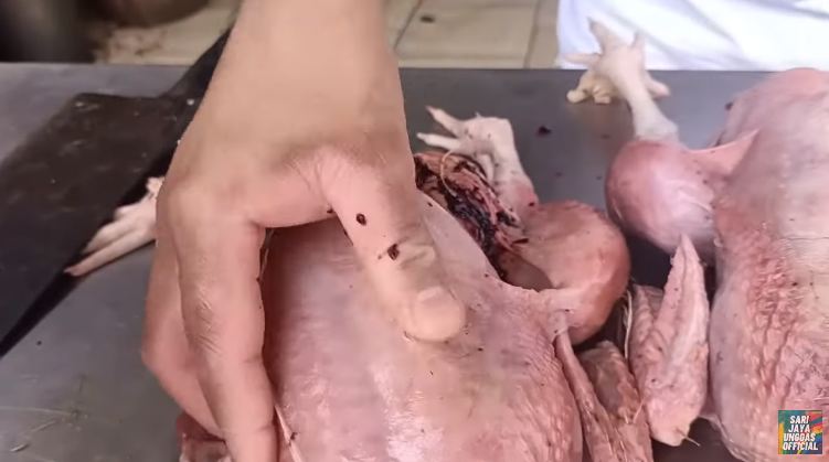 Cara mudah membedakan ayam potong segar dengan yang tak layak konsumsi, waspada daging tiren
