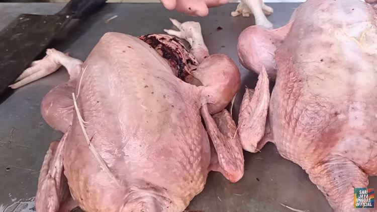 Cara mudah membedakan ayam potong segar dengan yang tak layak konsumsi, waspada daging tiren