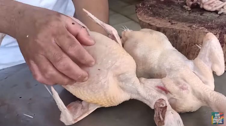 Cara mudah membedakan ayam potong segar dengan yang tak layak konsumsi, waspada daging tiren