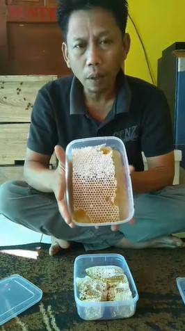 Tanpa ditambah air, begini cara membedakan sarang madu asli dan palsu