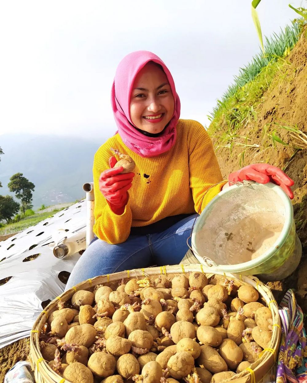 hasil panen ladang Novi Listiana © 2023 brilio.net hasil panen ladang Novi Listiana © 2023 brilio.net