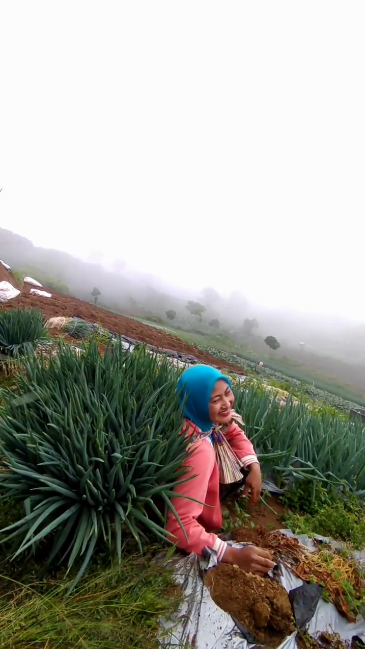 hasil panen ladang Novi Listiana © 2023 brilio.net