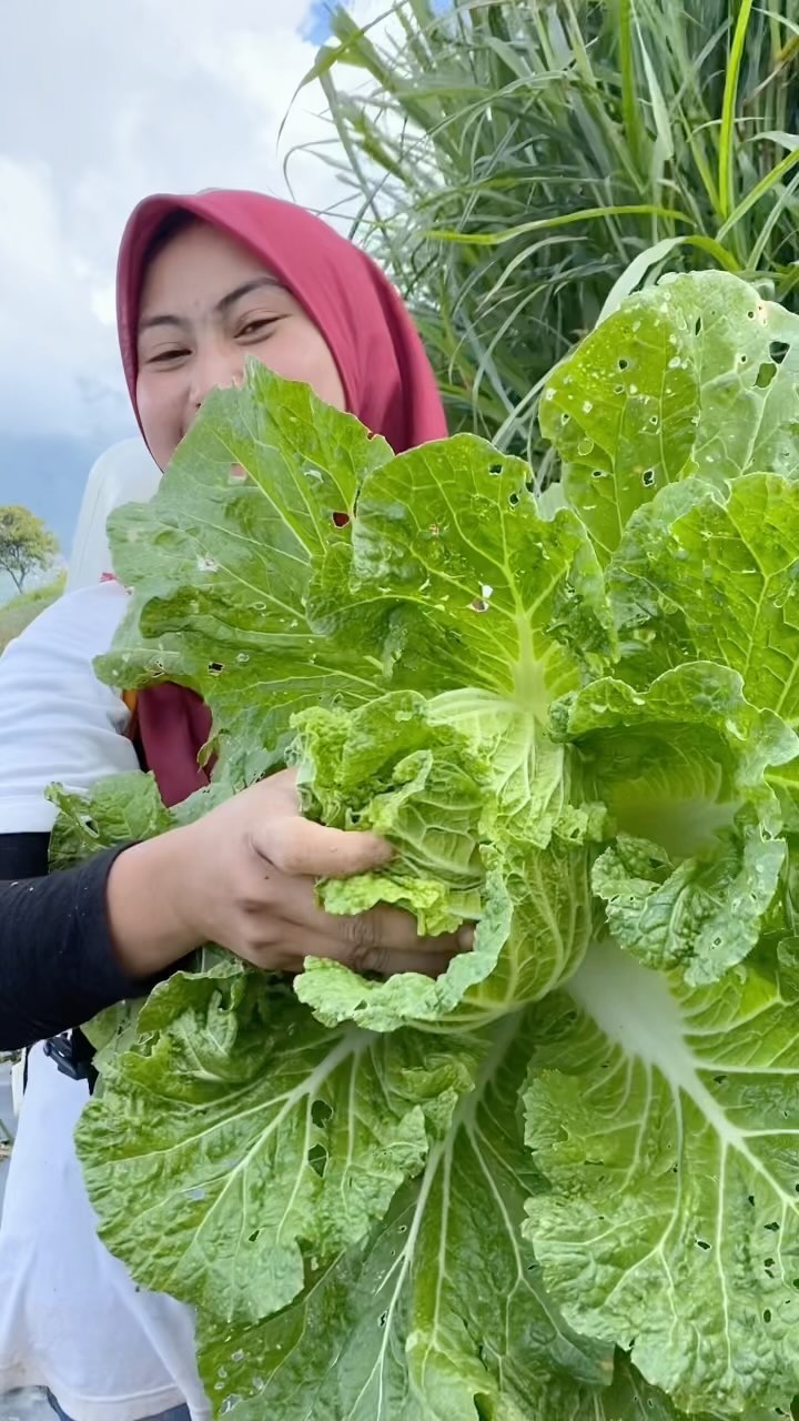 hasil panen ladang Novi Listiana © 2023 brilio.net