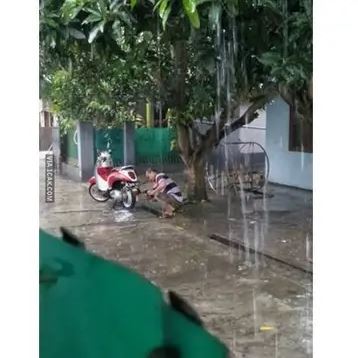 Potret kocak kelakuan orang saat cuci motor Berbagai sumber