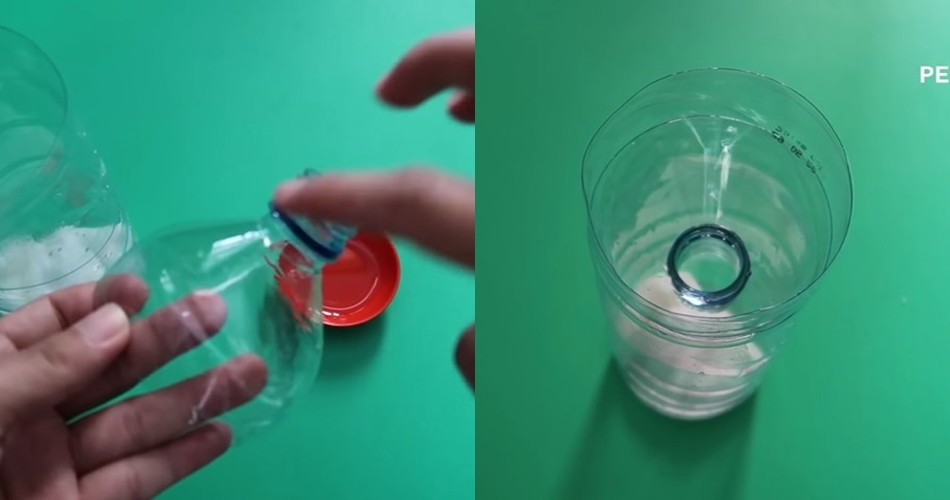 Bukan pakai nasi, ini cara bikin perangkap cicak sederhana cuma mengandalkan 2 bahan dapur