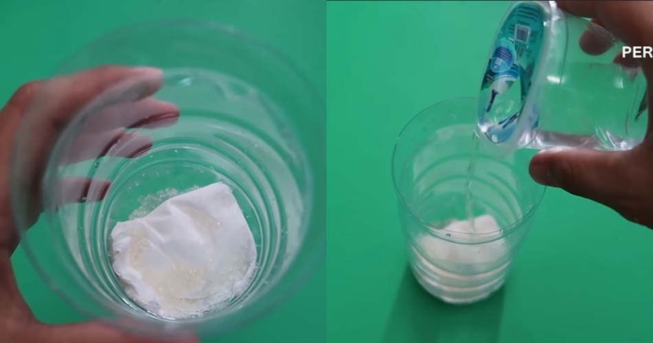 Bukan pakai nasi, ini cara bikin perangkap cicak sederhana cuma mengandalkan 2 bahan dapur