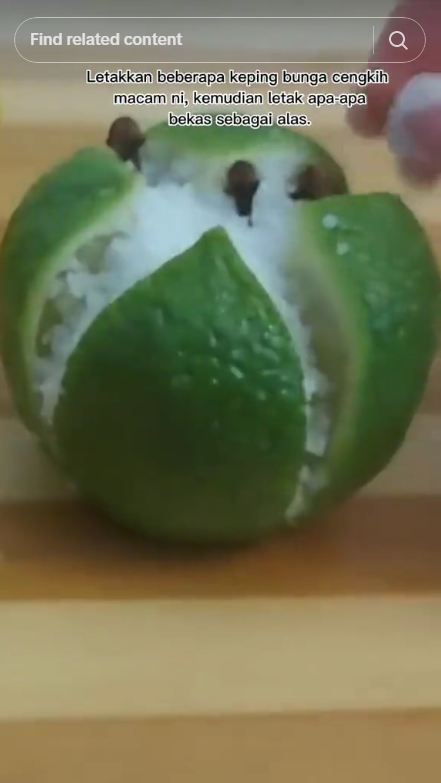 Hanya pakai 3 bahan dapur, ini cara bikin obat nyamuk alami dan bebas asap