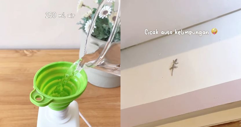 Tak perlu bikin alat perangkap, ini cara buat cairan pembasmi cicak pakai 3 bahan dapur