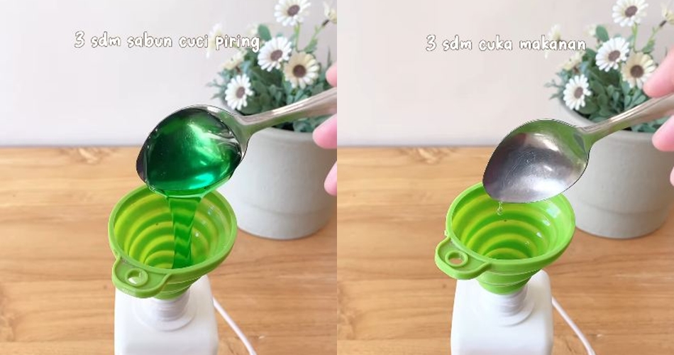 Tak perlu bikin alat perangkap, ini cara buat cairan pembasmi cicak pakai 3 bahan dapur