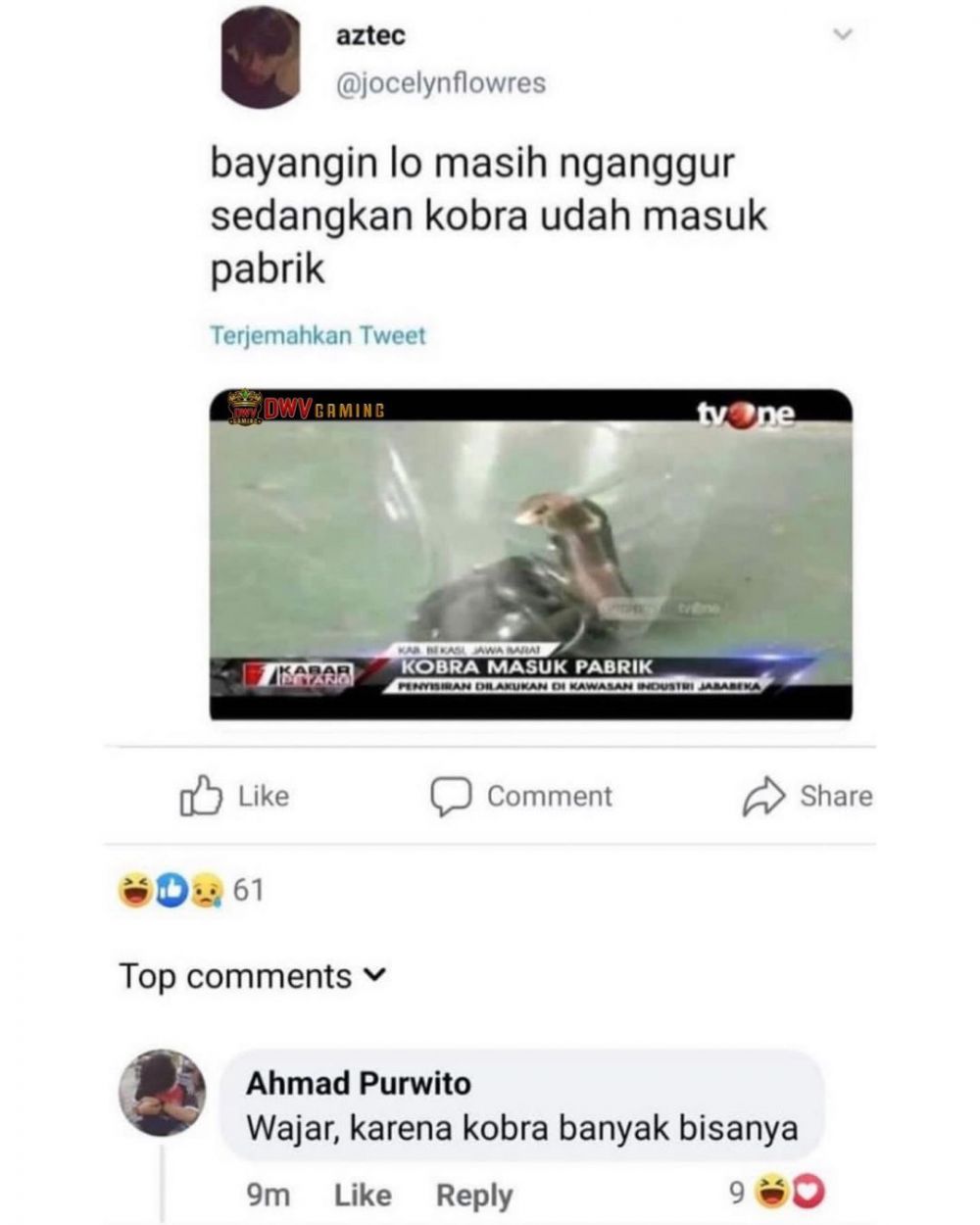 Komentar lucu yang betul tapi bikin kesel  Berbagai sumber