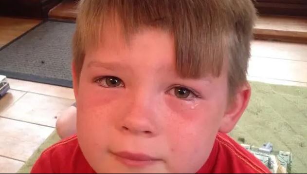 potret kocak orang salah potong di pangkas rambut Berbagai sumber potret kocak orang salah potong di pangkas rambut Berbagai sumber