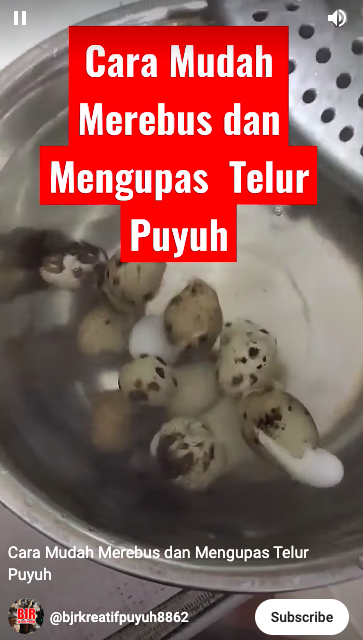 Lebih hemat gas, begini trik merebus telur puyuh dalam 7 menit agar matang sempurna dan mudah dikupas