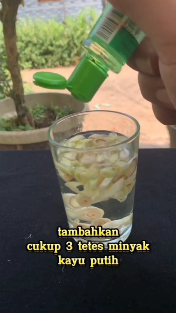 Cuma modal 1 bumbu dapur, ini cara bikin obat nyamuk tanpa asap dan tak perlu raket perangkap