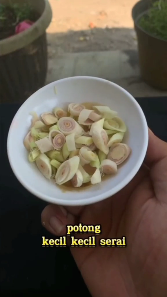 Cuma modal 1 bumbu dapur, ini cara bikin obat nyamuk tanpa asap dan tak perlu raket perangkap