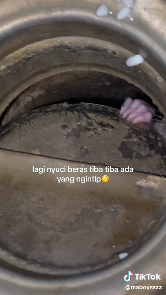 Penampakan bikin geli di wastafel © TikTok