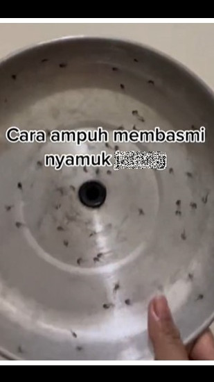 Cara unik bikin raket pembasmi nyamuk ala warganet ini sederhana cuma pakai 1 alat dan bahan dapur