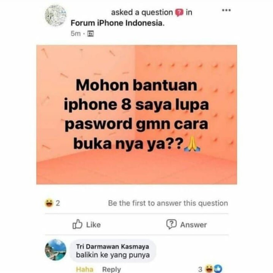 Status Facebook dikomen nggak nyambung  Berbagai sumber