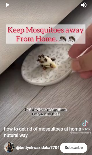 Tanpa ditambah kopi, ini cara bikin obat nyamuk bebas asap cuma modal 2 bahan dapur