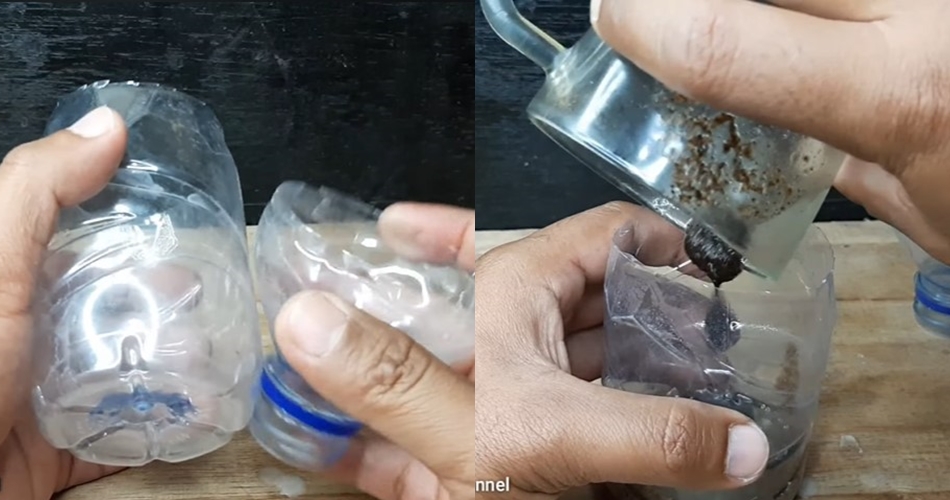 Tanpa gula atau nasi, ini cara bikin jebakan cicak ampuh pakai 1 ampas minuman