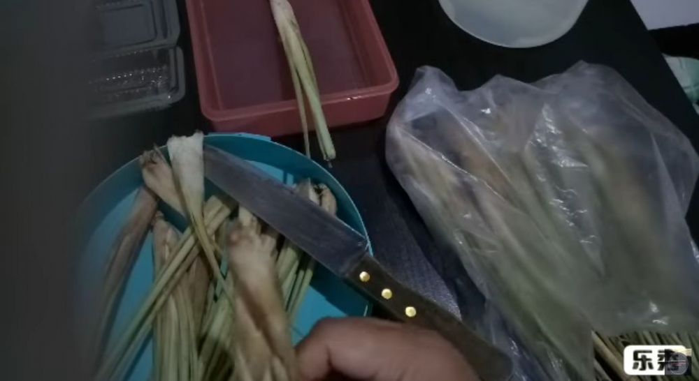 Tanpa kopi dan air, begini trik membuat obat nyamuk dari 1 jenis rempah dapur