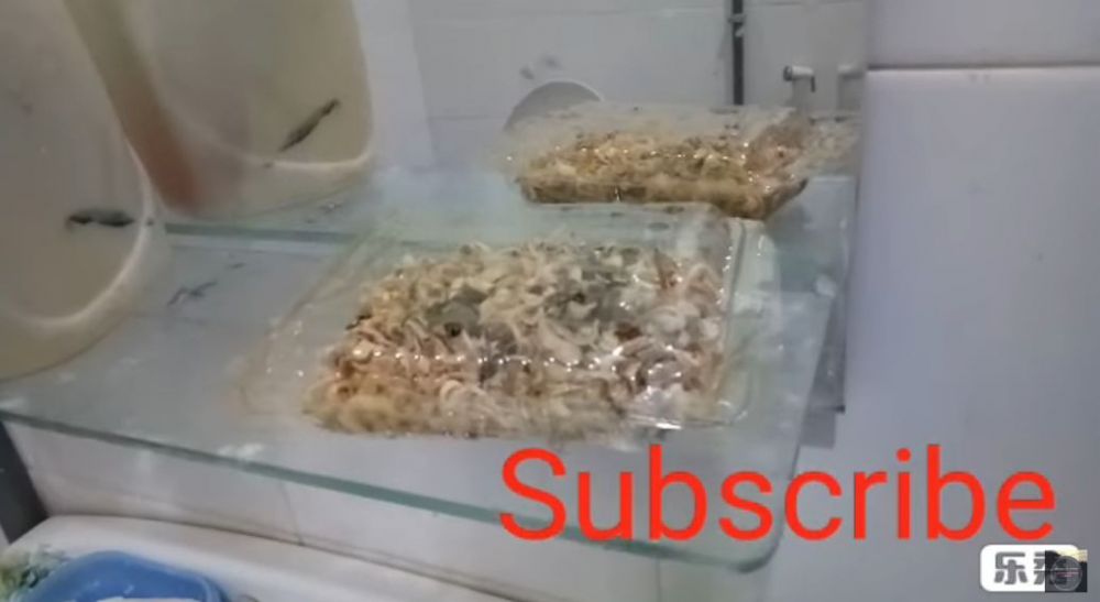 Tanpa kopi dan air, begini trik membuat obat nyamuk dari 1 jenis rempah dapur