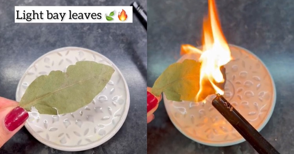 Simpel cuma pakai 1 bahan dapur, ini trik atasi ruangan bau usai menggoreng ikan