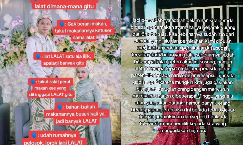 curhat pilu pengantin lokasi pernikahannya dipenuhi lalat © berbagai sumber