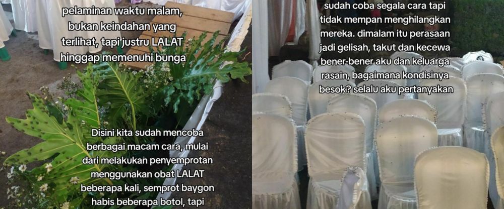 curhat pilu pengantin lokasi pernikahannya dipenuhi lalat © berbagai sumber