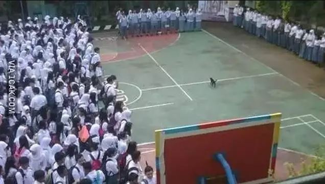 Pemandangan saat upacara bendera ini relate abis Berbagai sumber