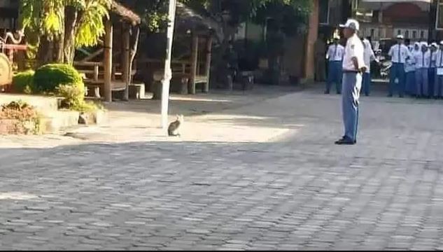 Pemandangan saat upacara bendera ini relate abis Berbagai sumber