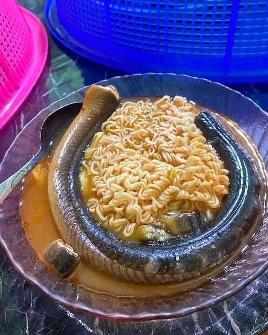 Potret hidangan jangan buru-buru dimakan Berbagai sumber