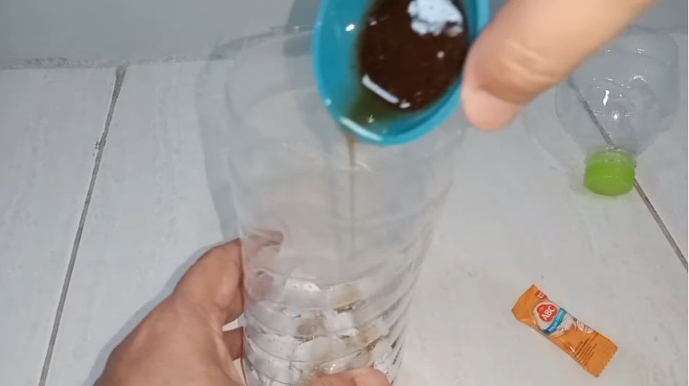 Cara sederhana bikin perangkap kecoak pakai 2 bahan dapur, ampuh dan mudah dibuat