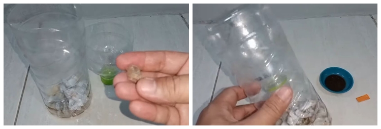 Cara sederhana bikin perangkap kecoak pakai 2 bahan dapur, ampuh dan mudah dibuat