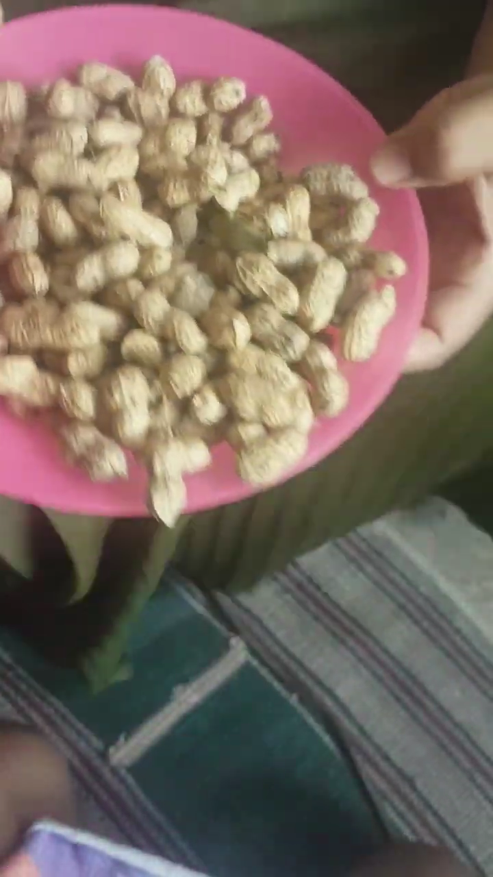 Tanpa minyak atau direbus dulu, ini cara masak kacang tanah agar hasilnya gurih dan renyah tahan lama