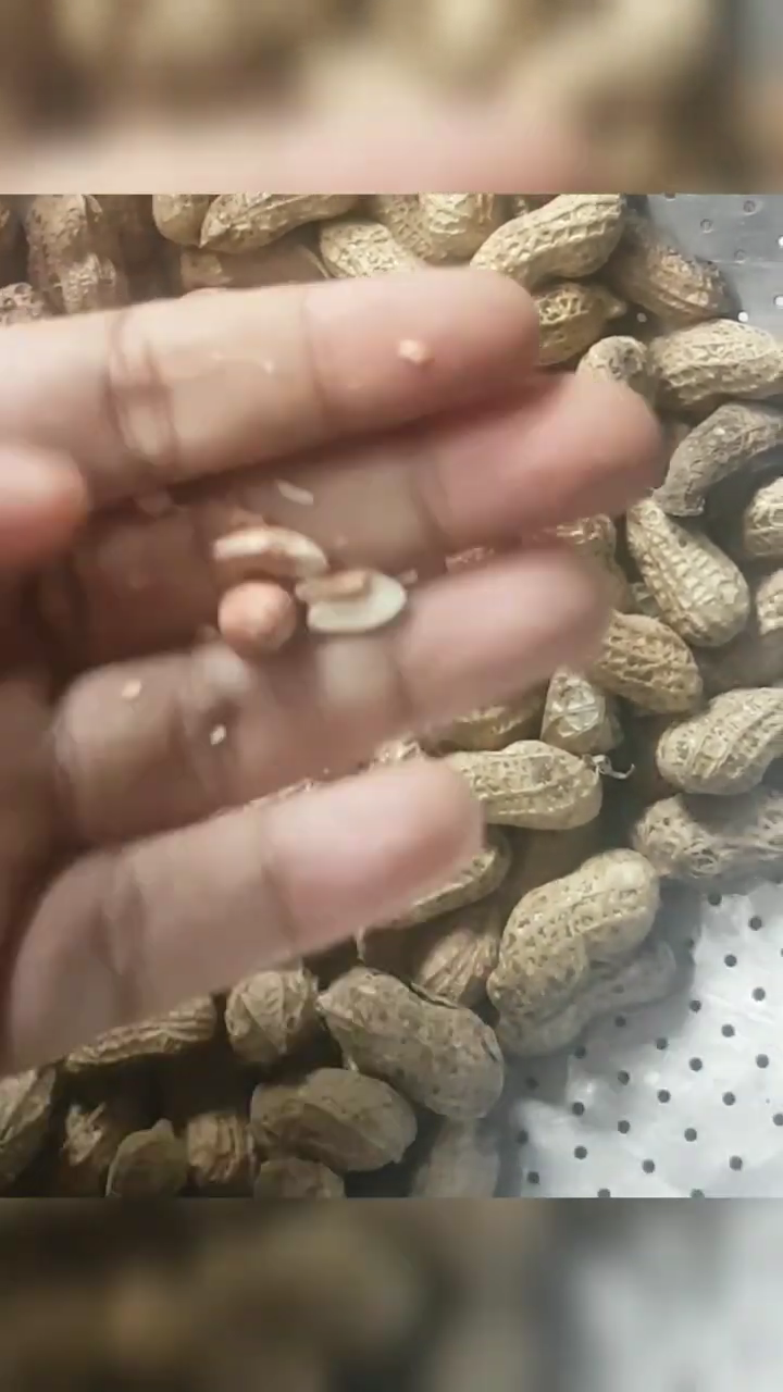 Tanpa minyak atau direbus dulu, ini cara masak kacang tanah agar hasilnya gurih dan renyah tahan lama