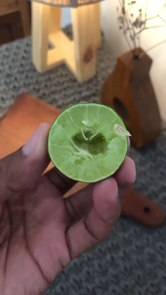 Cuma modal 3 bahan dapur, begini cara ampuh mengusir nyamuk tanpa semprotan khusus