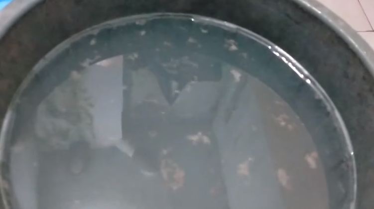 Tanpa perlu dibongkar, begini cara membersihkan lumut di mesin cuci pakai 2 bahan dapur