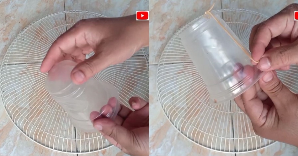 Tak perlu racun khusus, ini cara bikin jebakan tikus sederhana pakai 1 bahan makanan