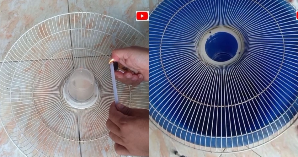 Tak perlu racun khusus, ini cara bikin jebakan tikus sederhana pakai 1 bahan makanan