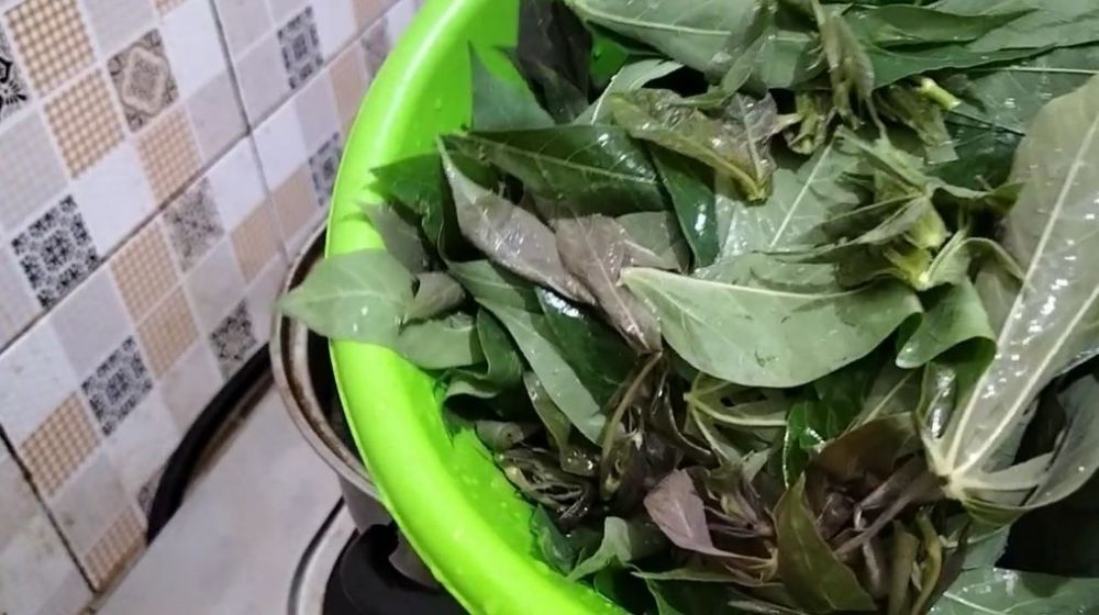 Cukup 3 menit, begini trik merebus daun singkong agar empuk dan warnanya hijau meski tanpa baking soda